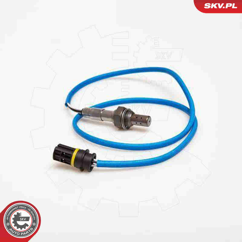 lambda jutiklis - 09SKV077 ESEN SKV