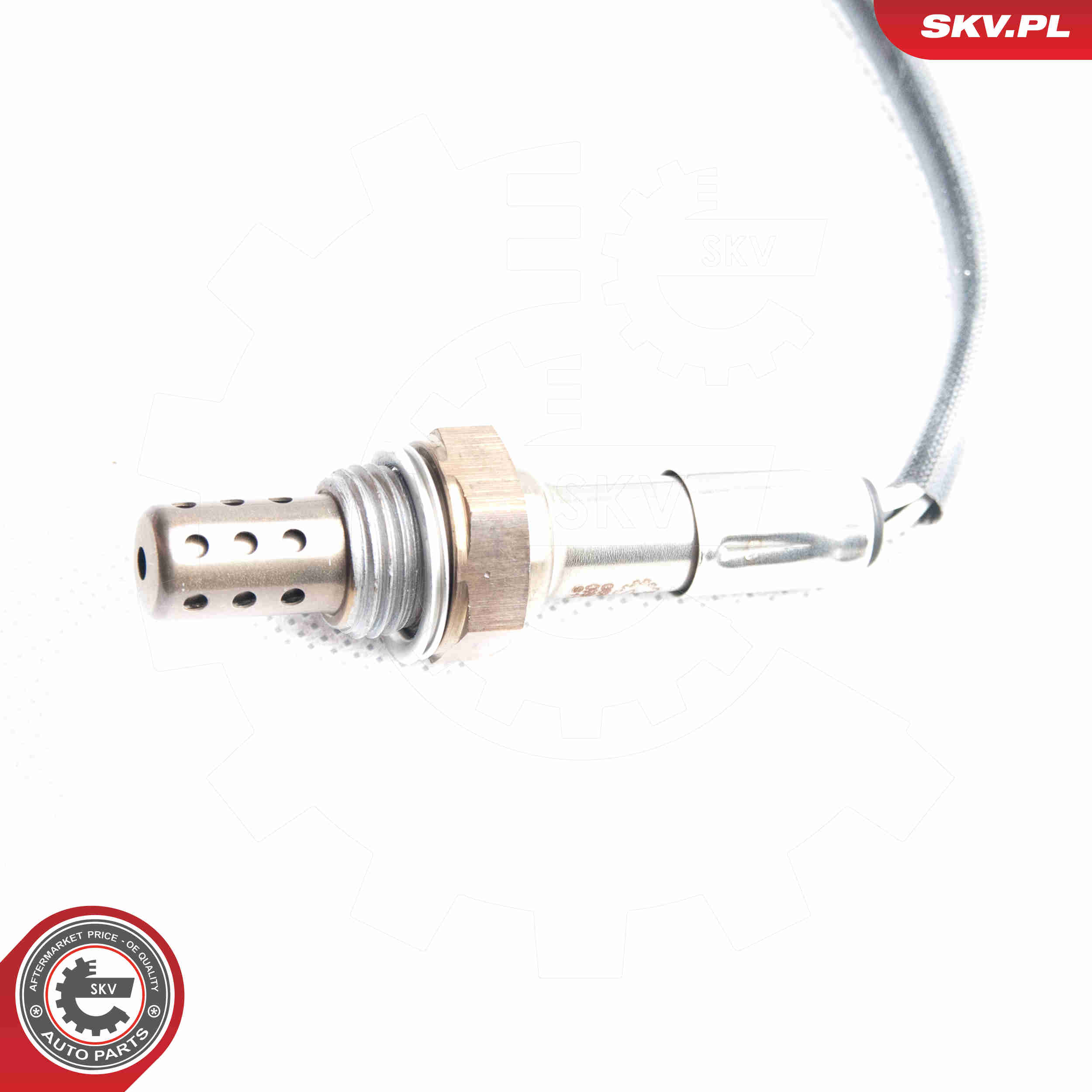 lambda jutiklis - 09SKV096 ESEN SKV