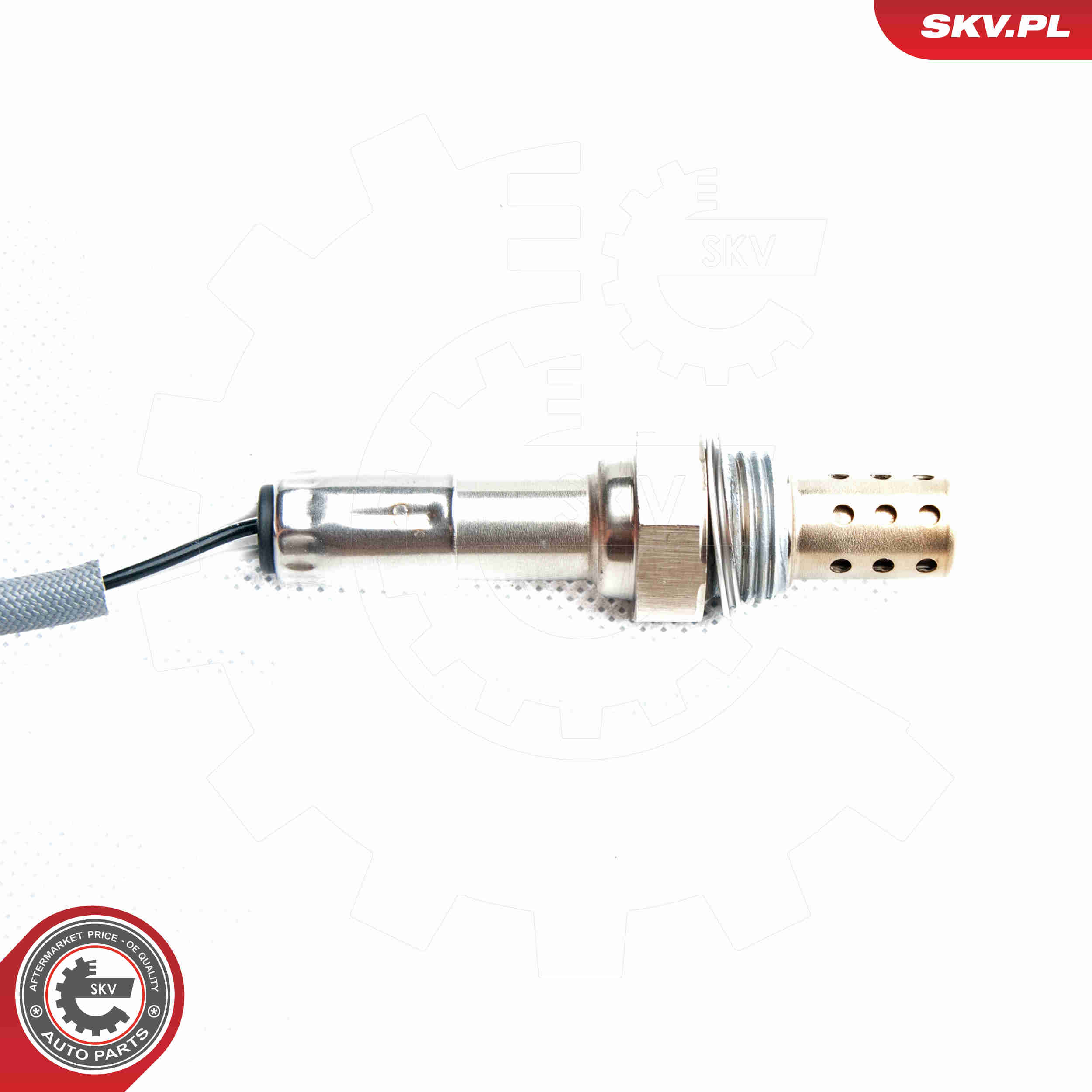 lambda jutiklis - 09SKV098 ESEN SKV