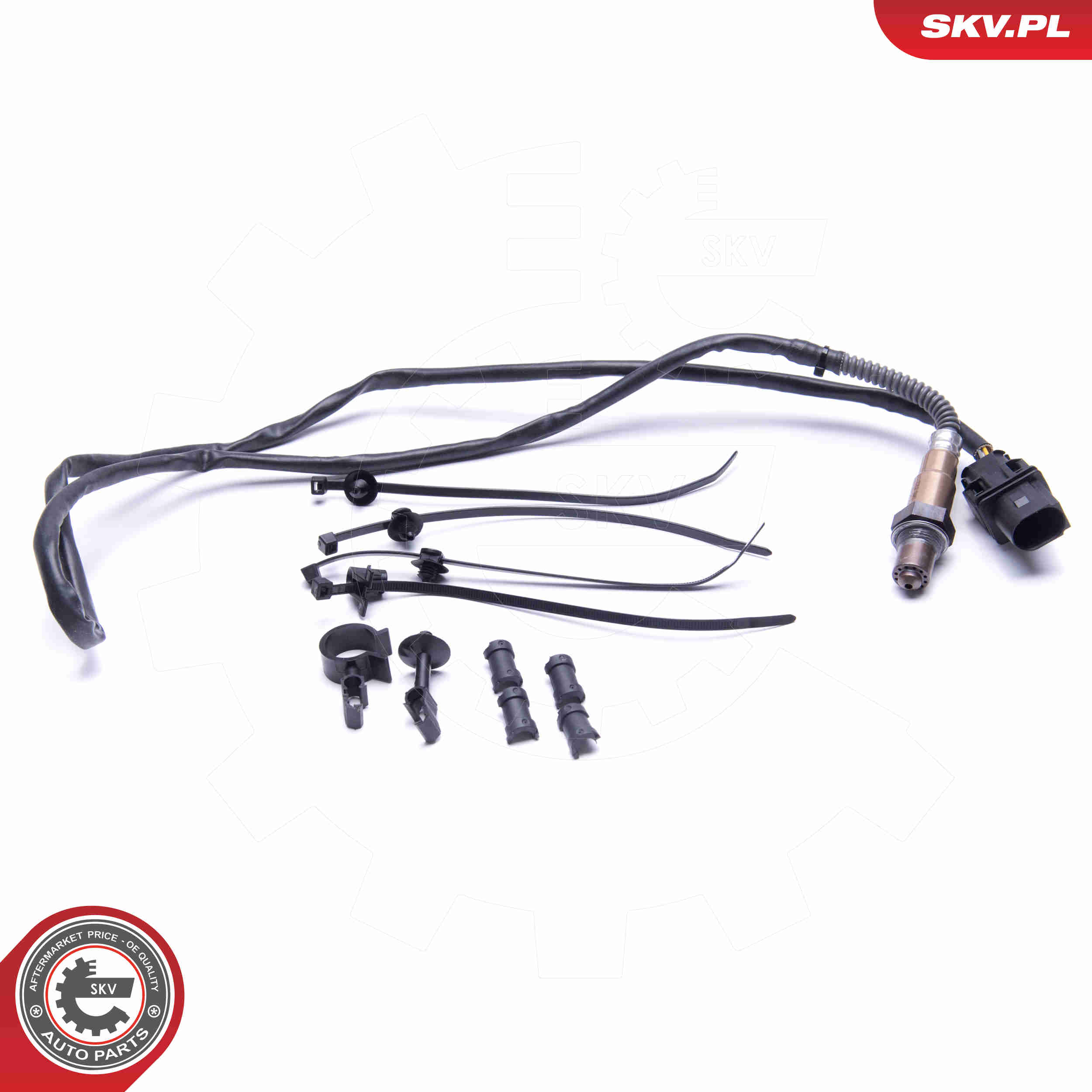 lambda jutiklis - 09SKV419 ESEN SKV