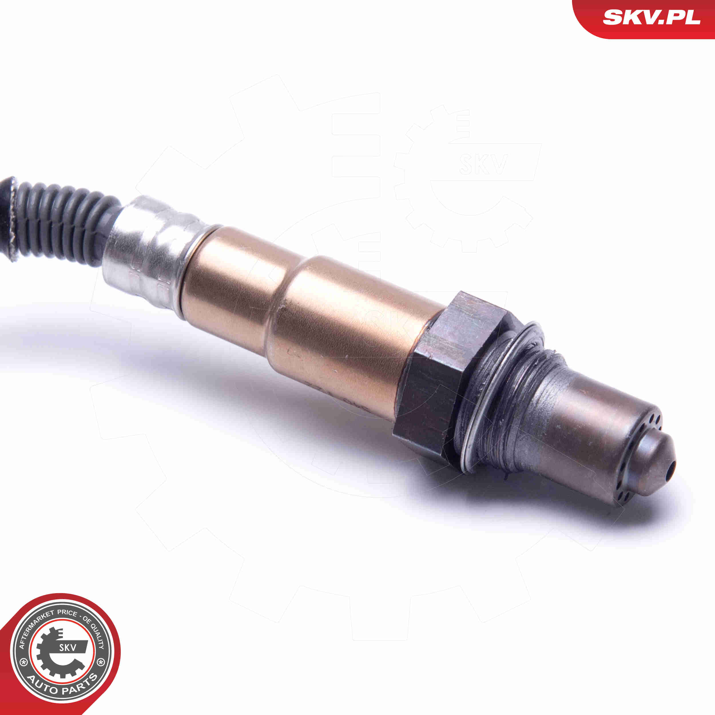 lambda jutiklis - 09SKV423 ESEN SKV