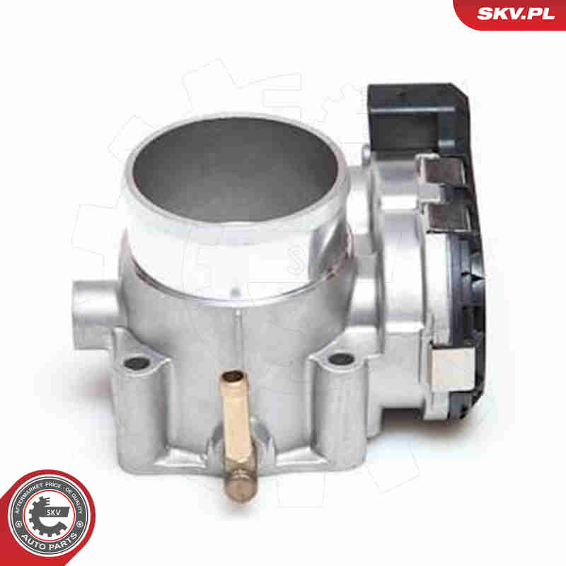 Throttle body - 12SKV008 ESEN SKV