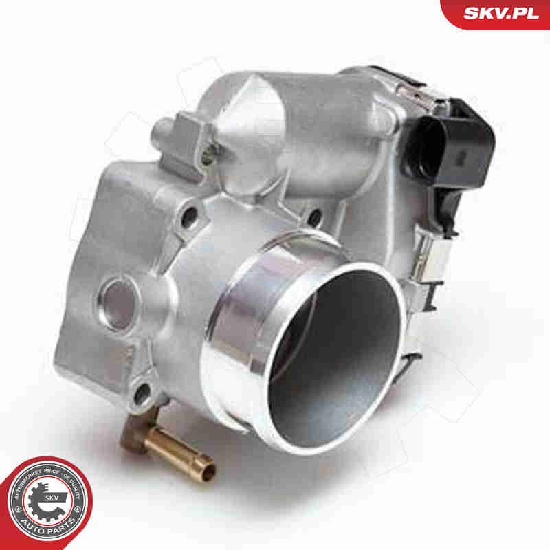 Throttle body - 12SKV008 ESEN SKV
