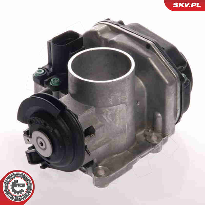 Throttle body - 12SKV024 ESEN SKV