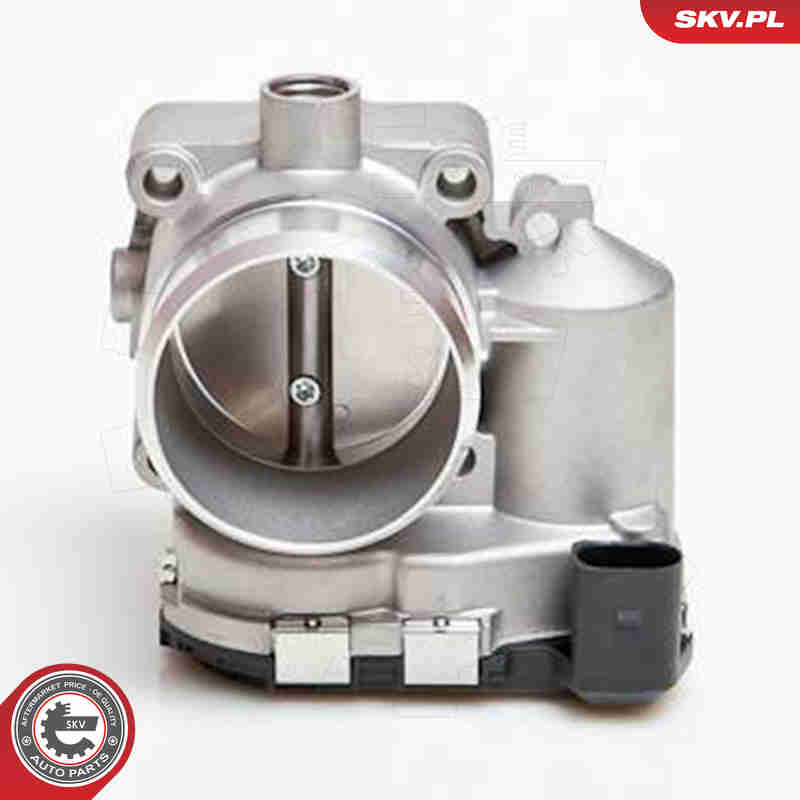 Throttle body - 12SKV039 ESEN SKV