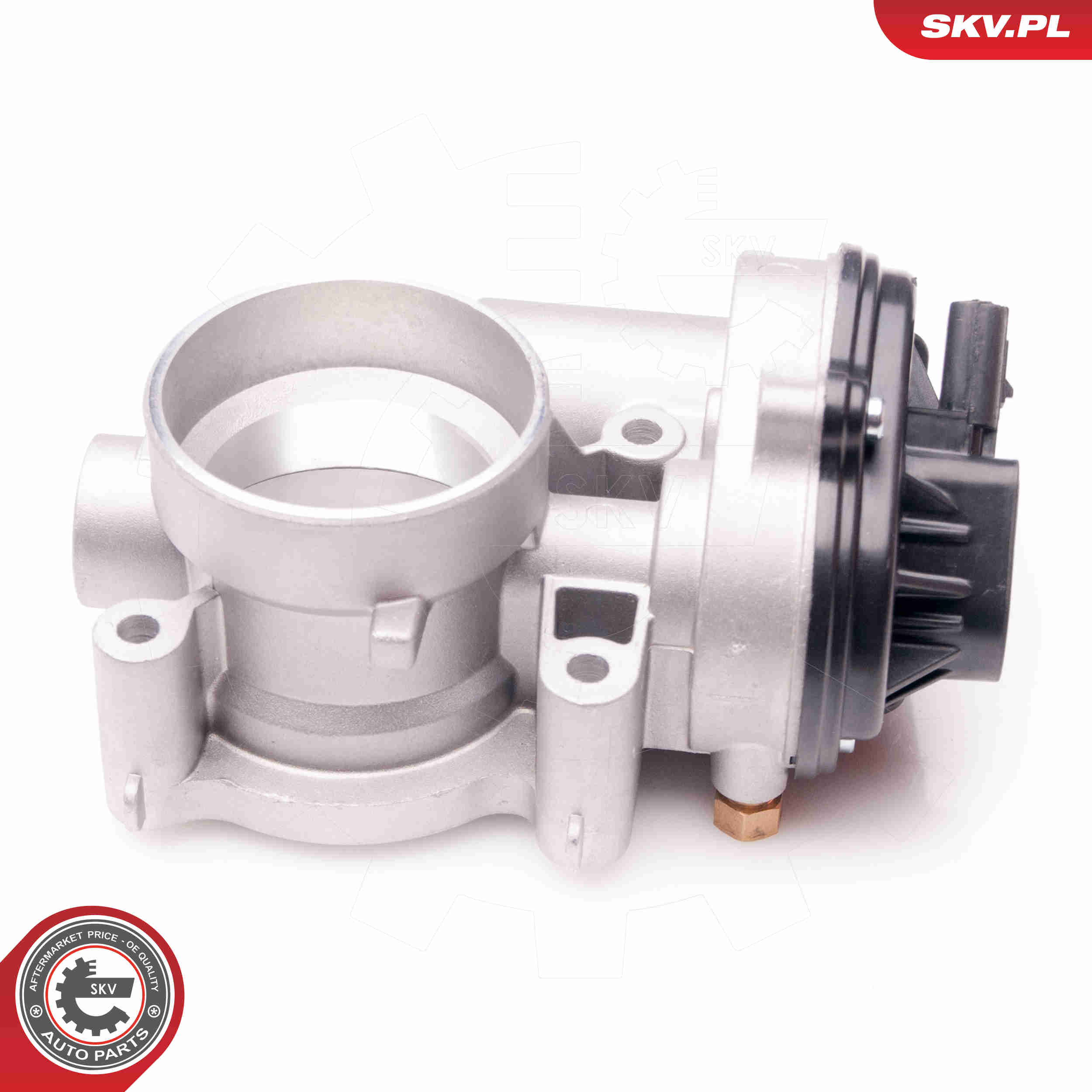 Throttle body - 12SKV069 ESEN SKV