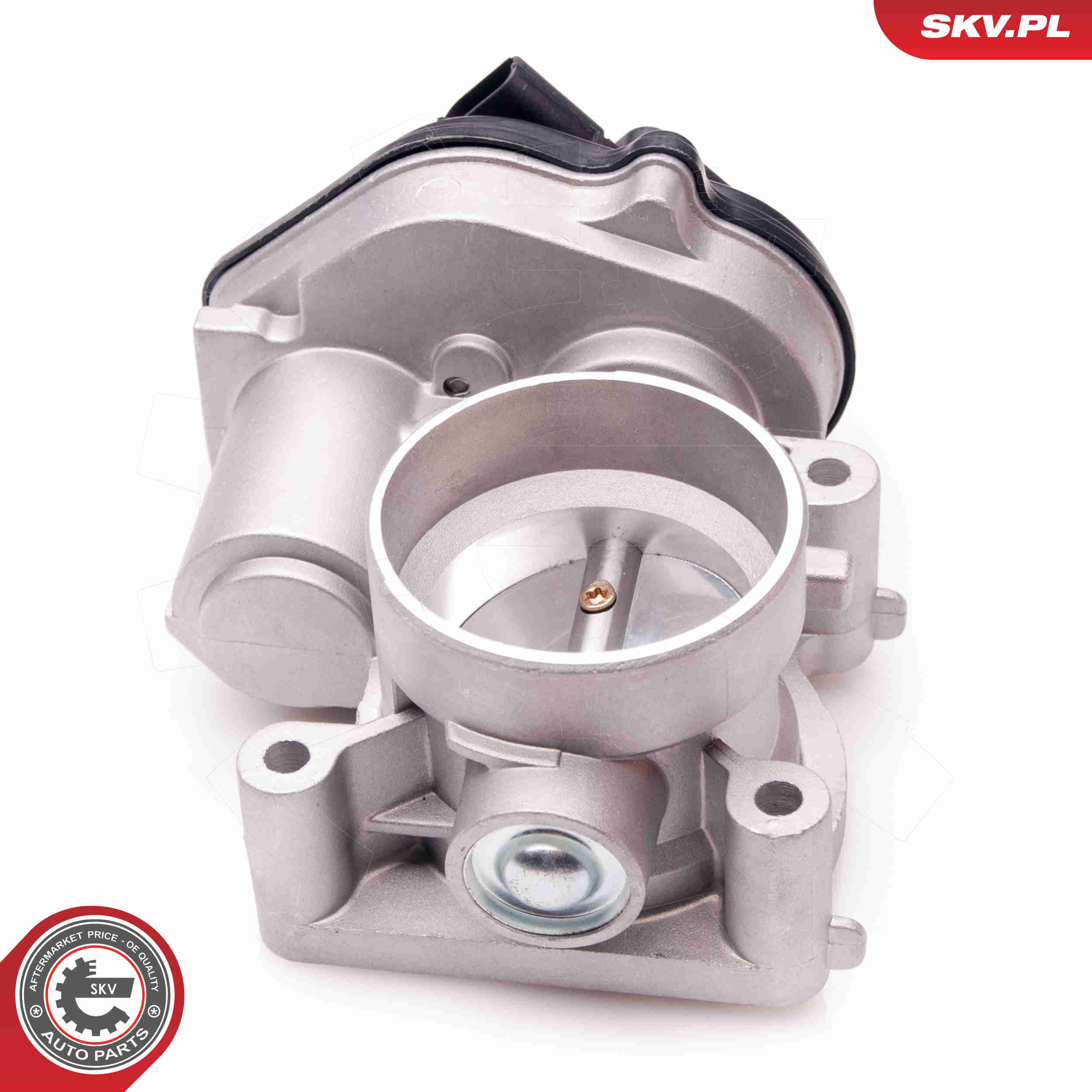 Throttle body - 12SKV069 ESEN SKV