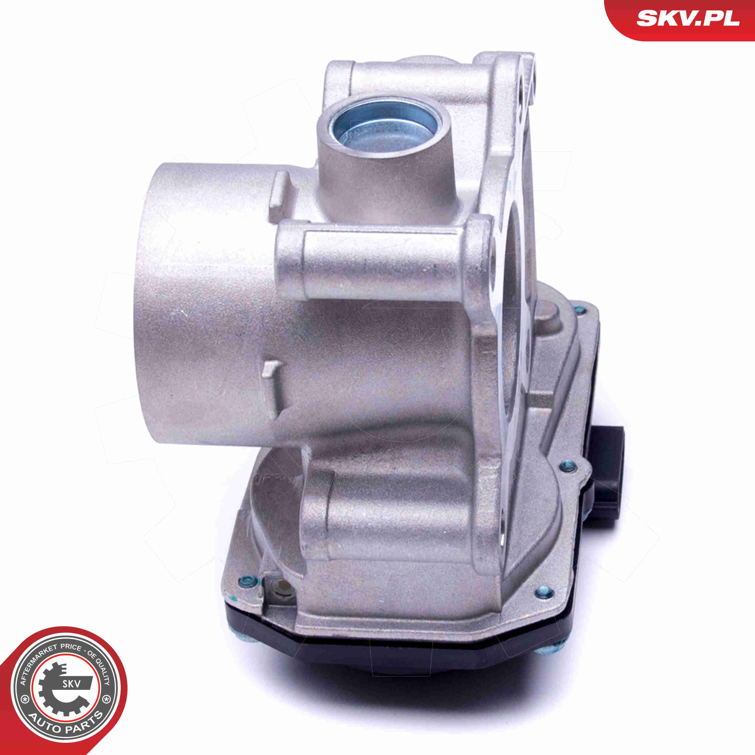 Throttle body - 12SKV076 ESEN SKV
