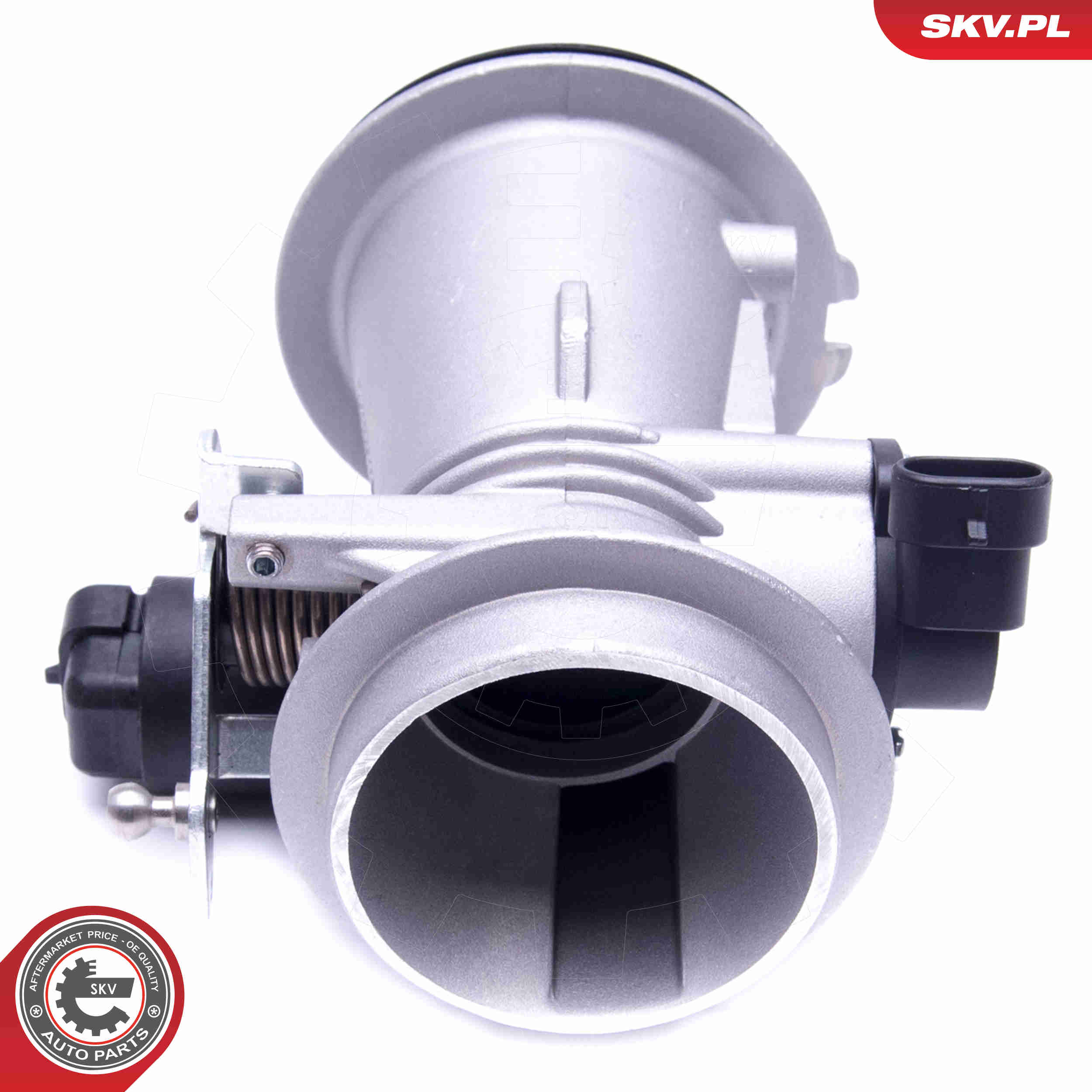 Throttle body - 12SKV101 ESEN SKV