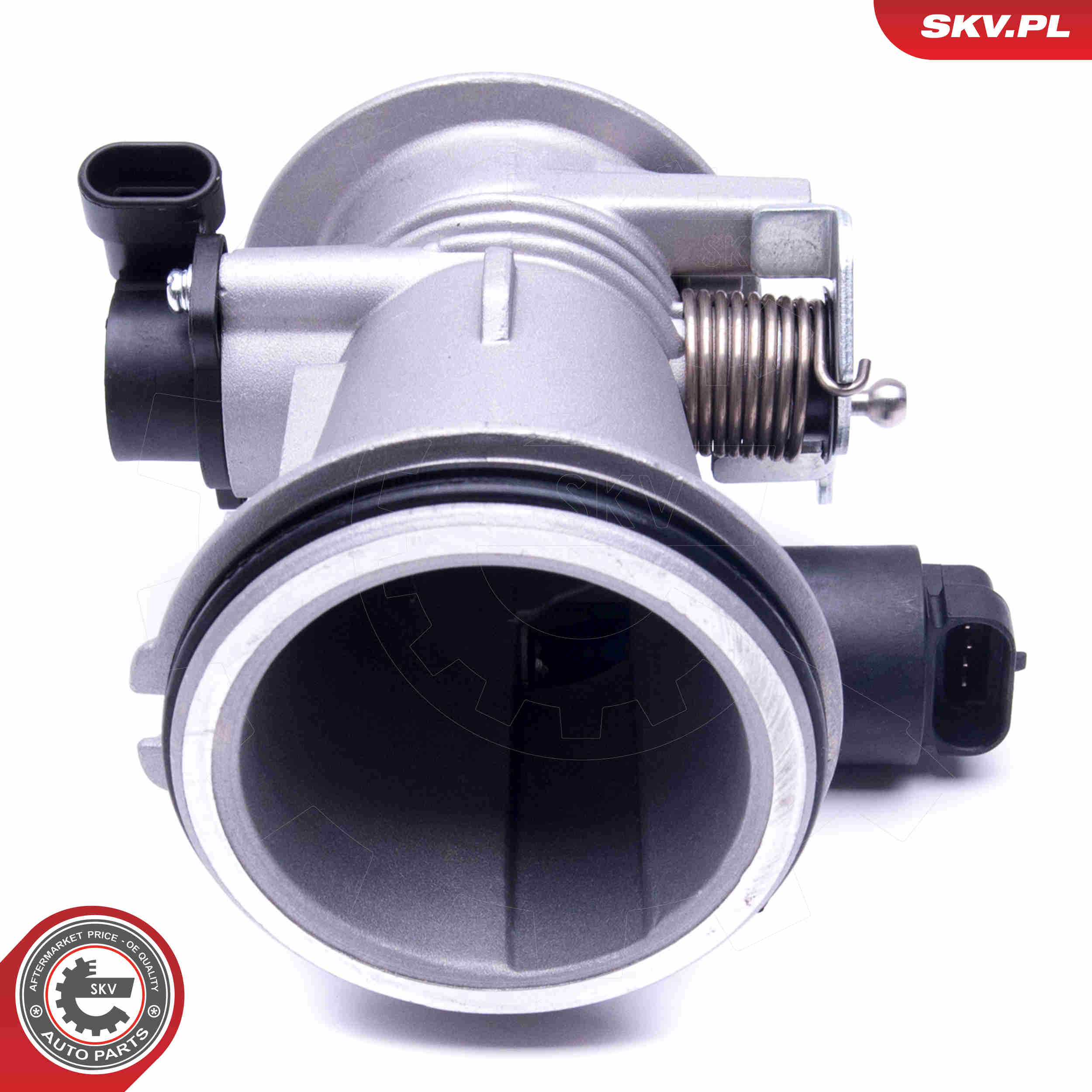 Throttle body - 12SKV101 ESEN SKV