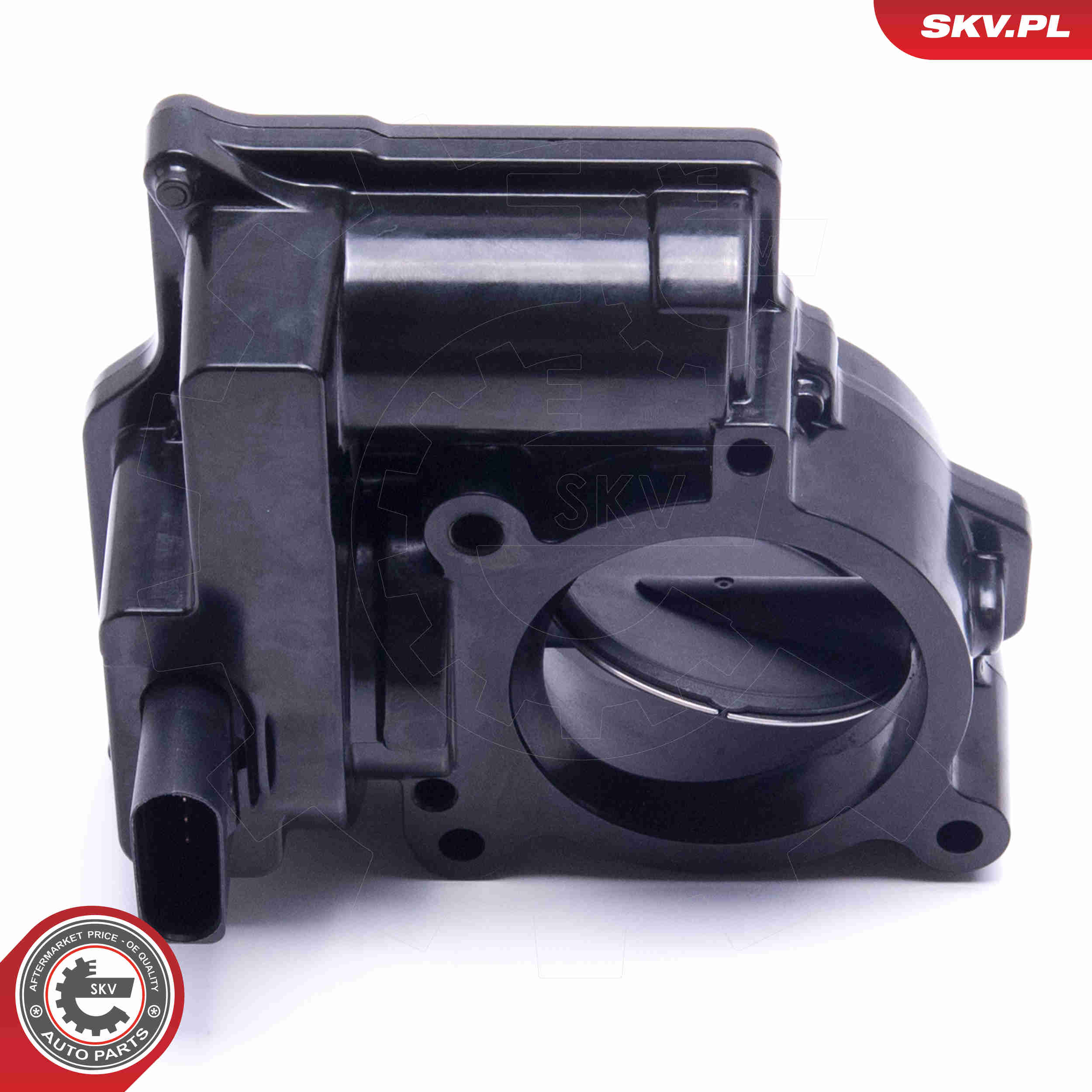 Throttle body - 12SKV107 ESEN SKV