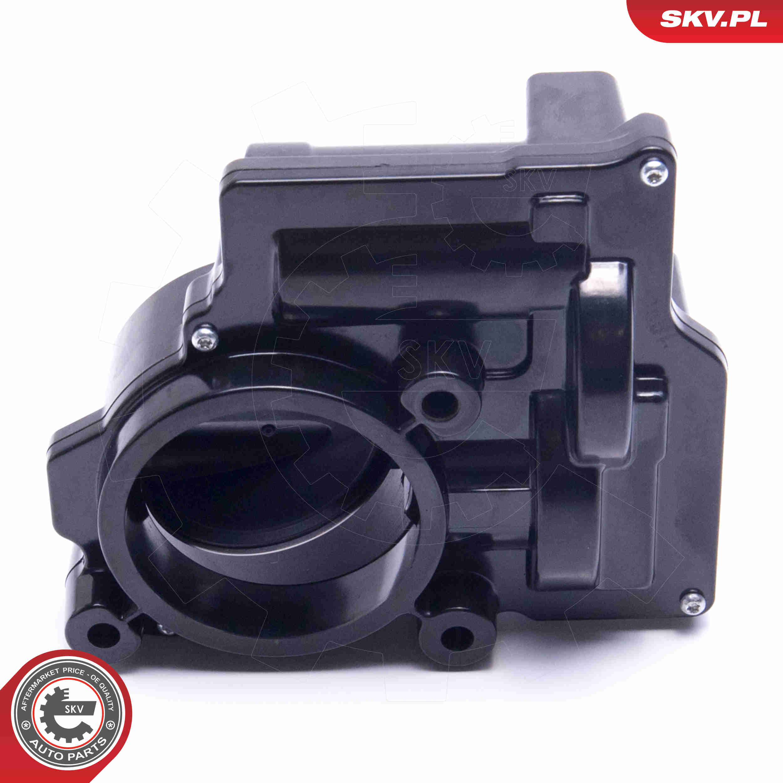 Throttle body - 12SKV107 ESEN SKV