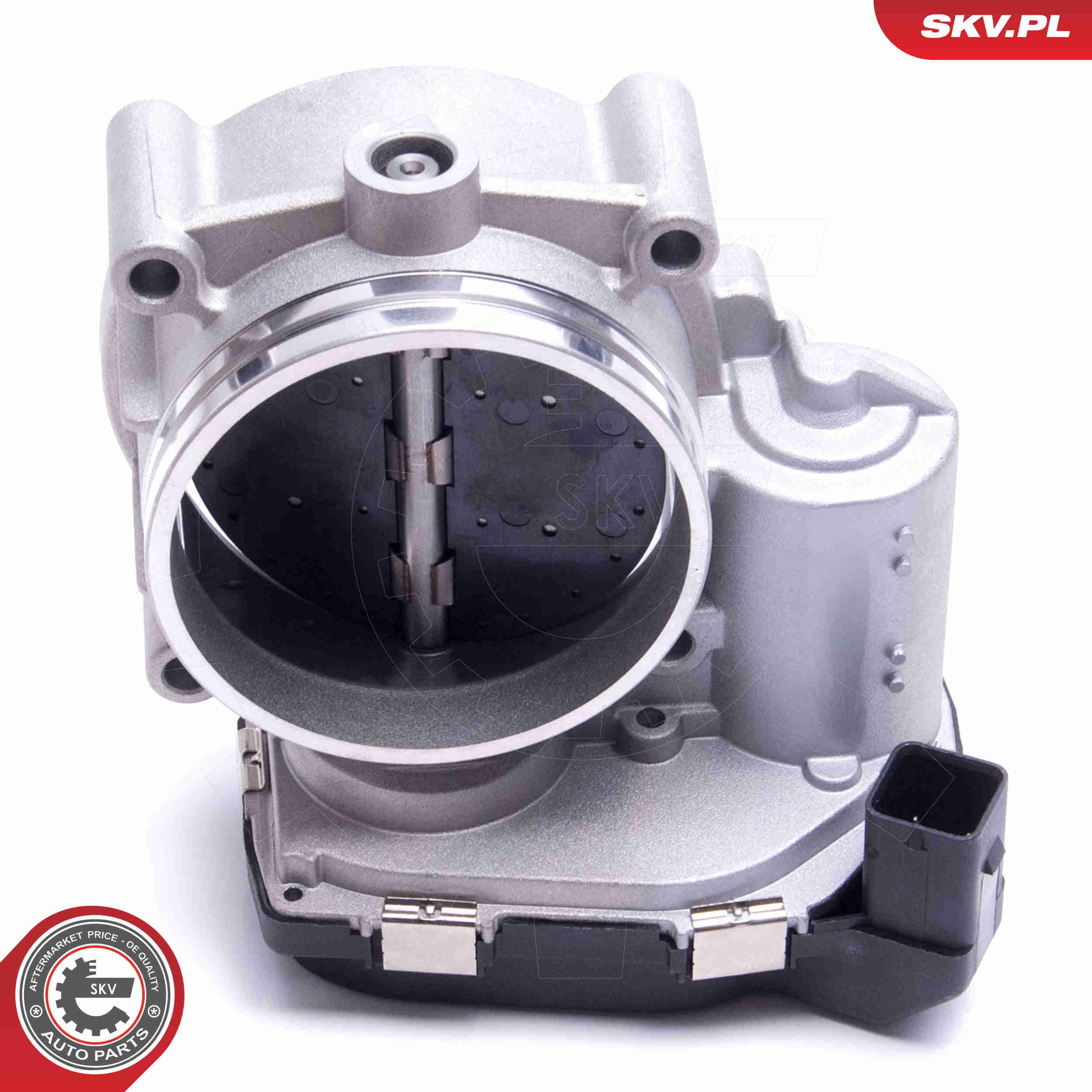 Throttle body - 12SKV115 ESEN SKV
