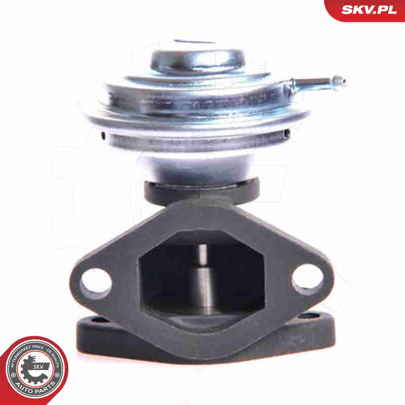 EGR Valve - 14SKV001 ESEN SKV