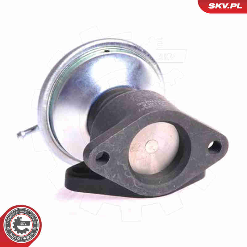 EGR Valve - 14SKV001 ESEN SKV