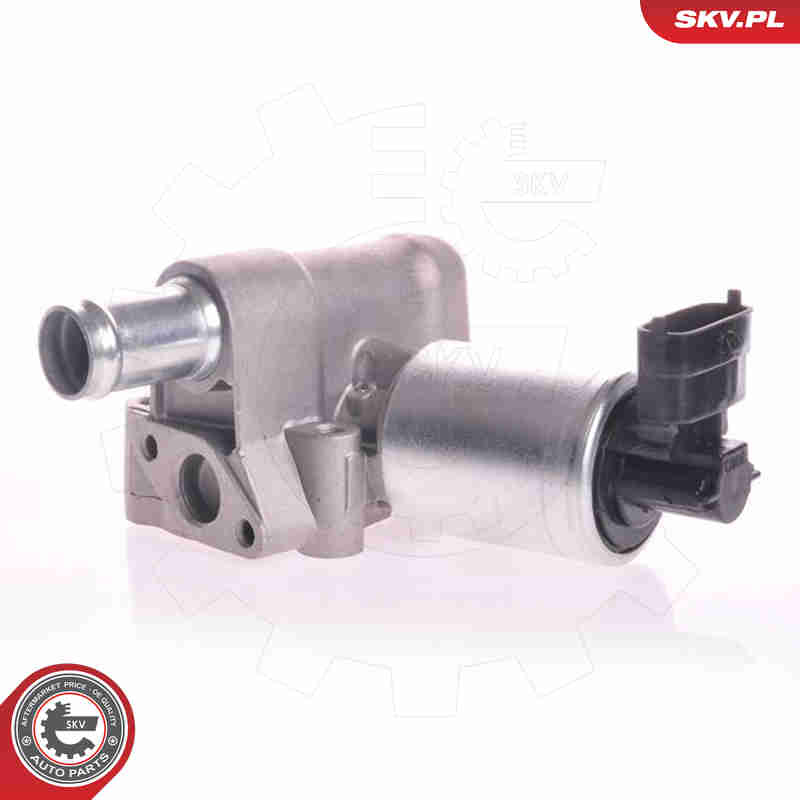 EGR Valve - 14SKV003 ESEN SKV