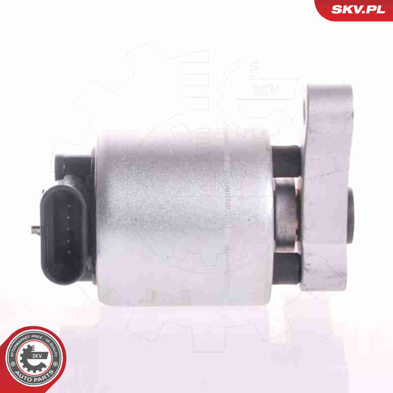 EGR Valve - 14SKV004 ESEN SKV