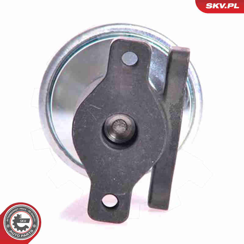 Клапан возврата ОГ - 14SKV005 ESEN SKV