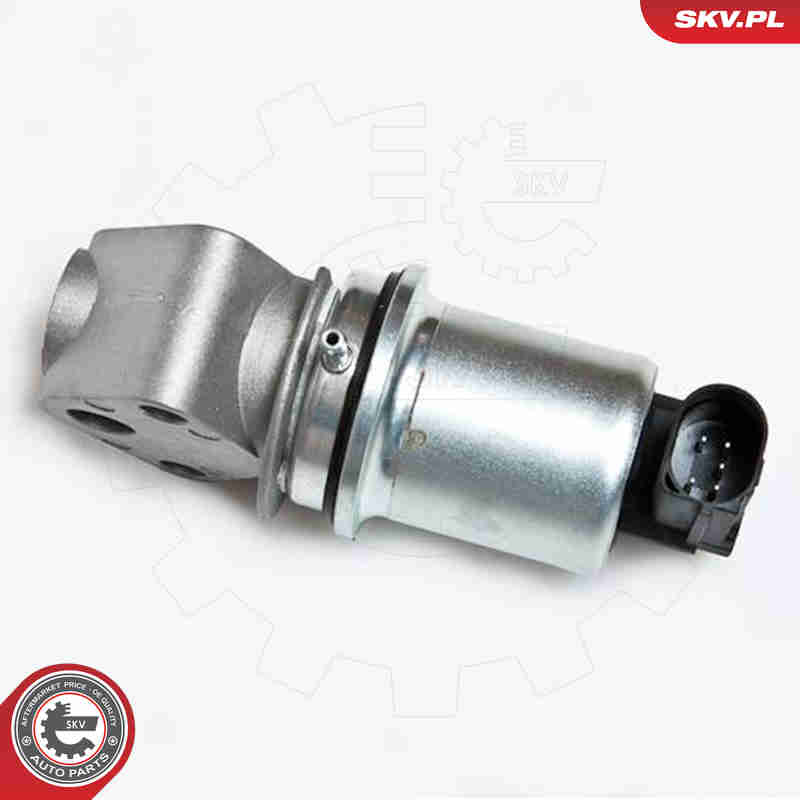 EGR Valve - 14SKV007 ESEN SKV