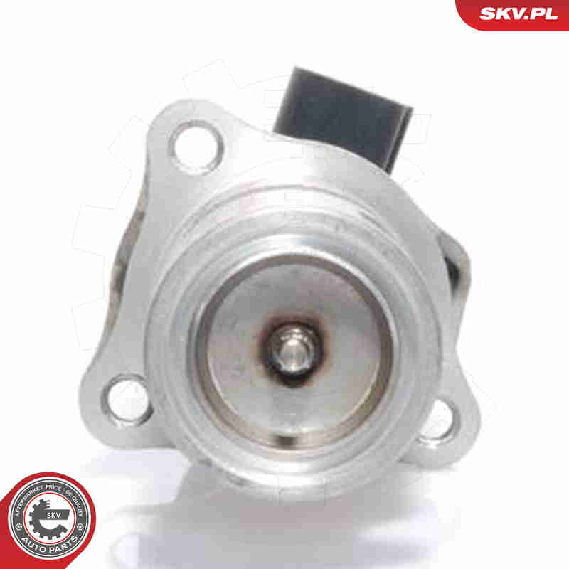 Valvola ricircolo gas scarico-EGR - 14SKV009 ESEN SKV