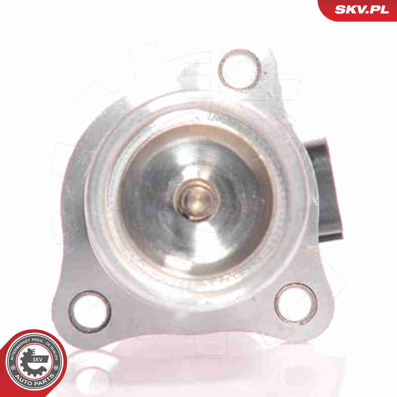 Valvola ricircolo gas scarico-EGR - 14SKV010 ESEN SKV