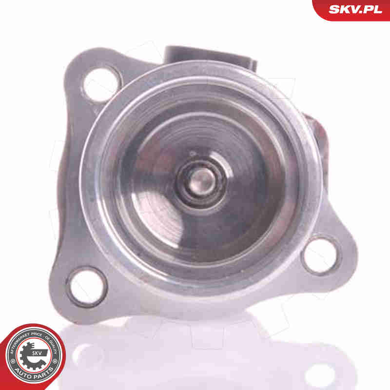 EGR Valve - 14SKV011 ESEN SKV
