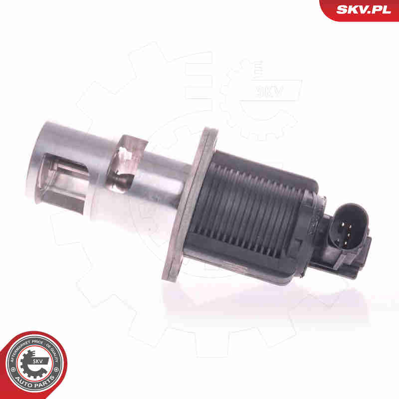 EGR Valve - 14SKV011 ESEN SKV