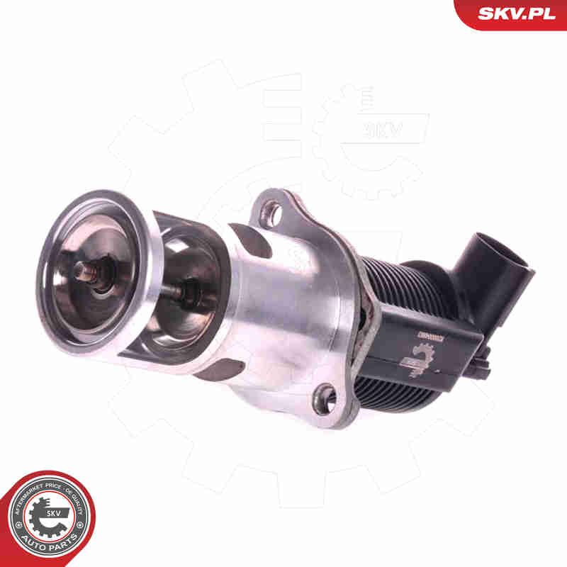 EGR Valve - 14SKV011 ESEN SKV