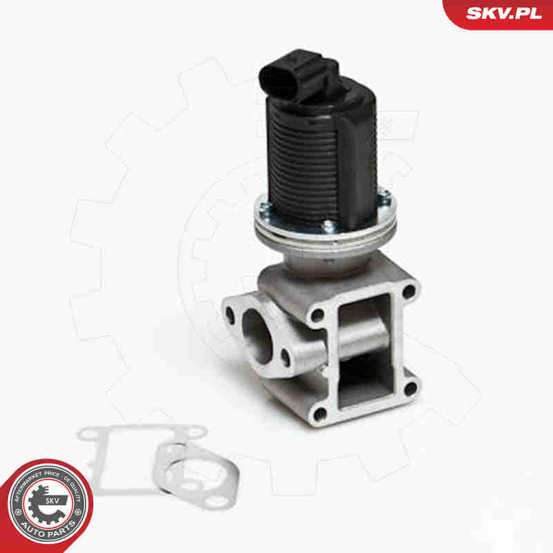 Valvola ricircolo gas scarico-EGR - 14SKV012 ESEN SKV