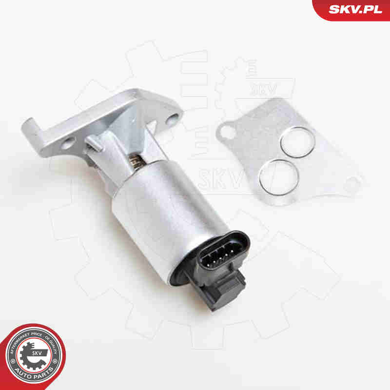EGR Valve - 14SKV013 ESEN SKV
