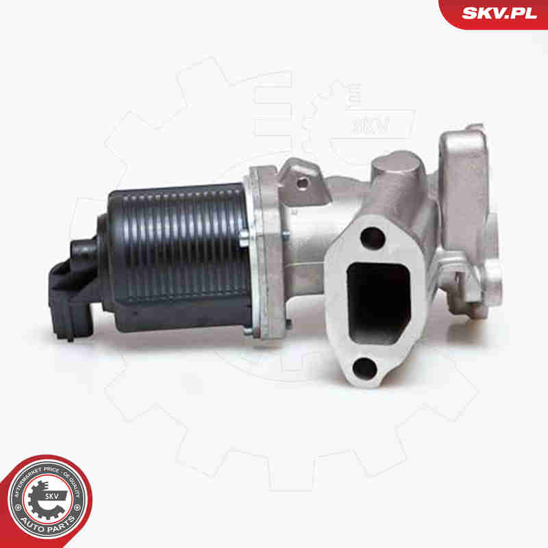 EGR Valve - 14SKV014 ESEN SKV