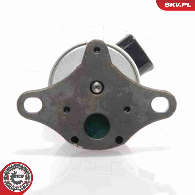 Valvola ricircolo gas scarico-EGR - 14SKV017 ESEN SKV