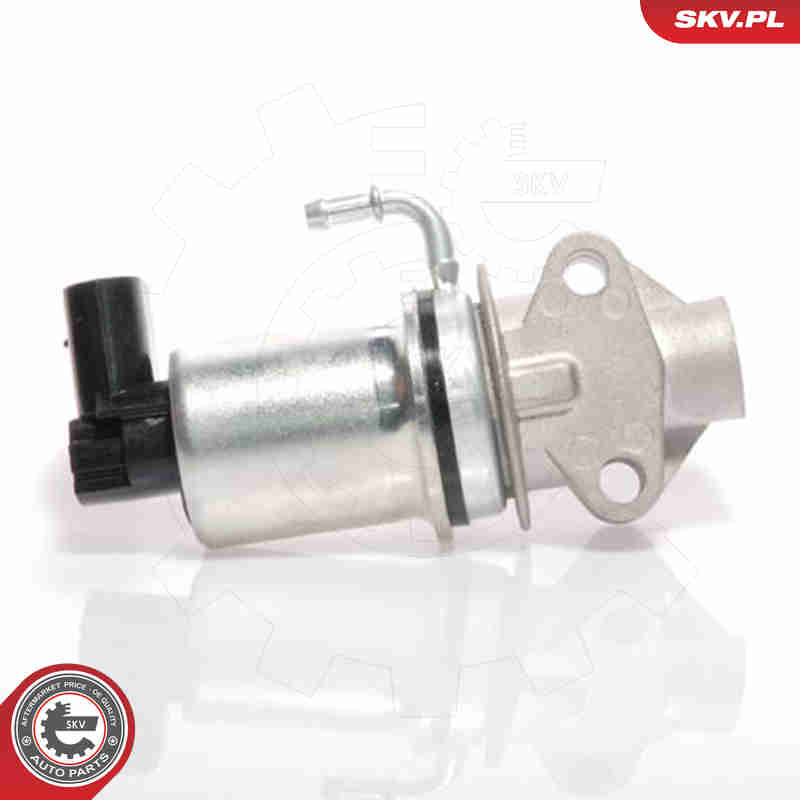 Valvola ricircolo gas scarico-EGR - 14SKV018 ESEN SKV
