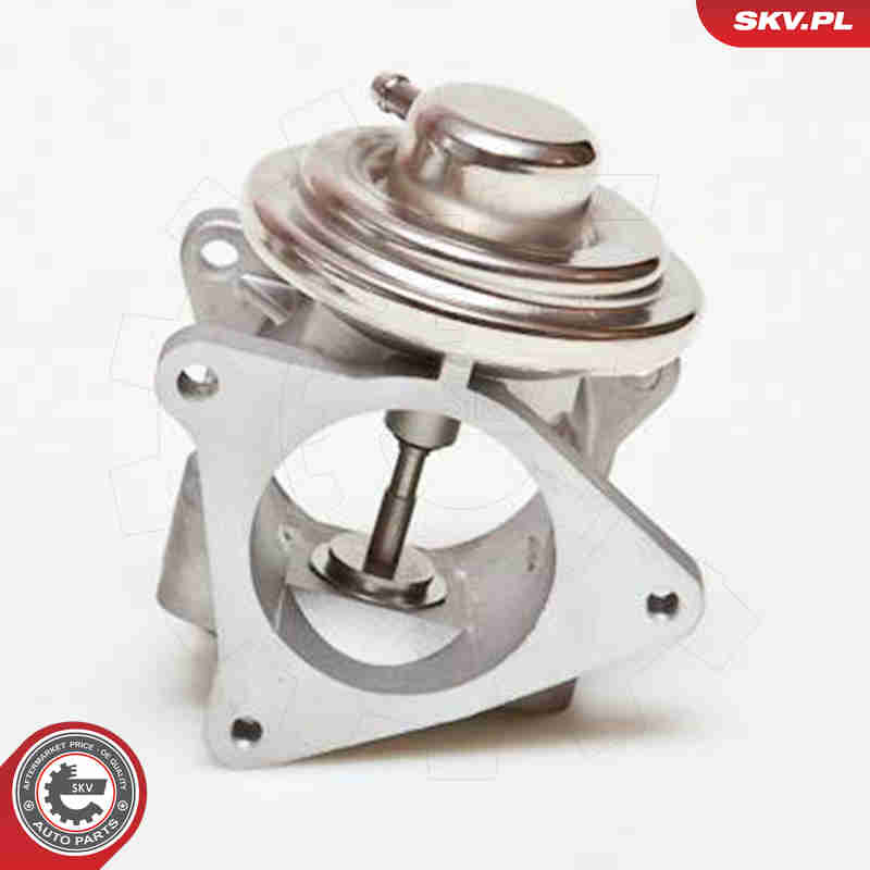 EGR Valve - 14SKV019 ESEN SKV