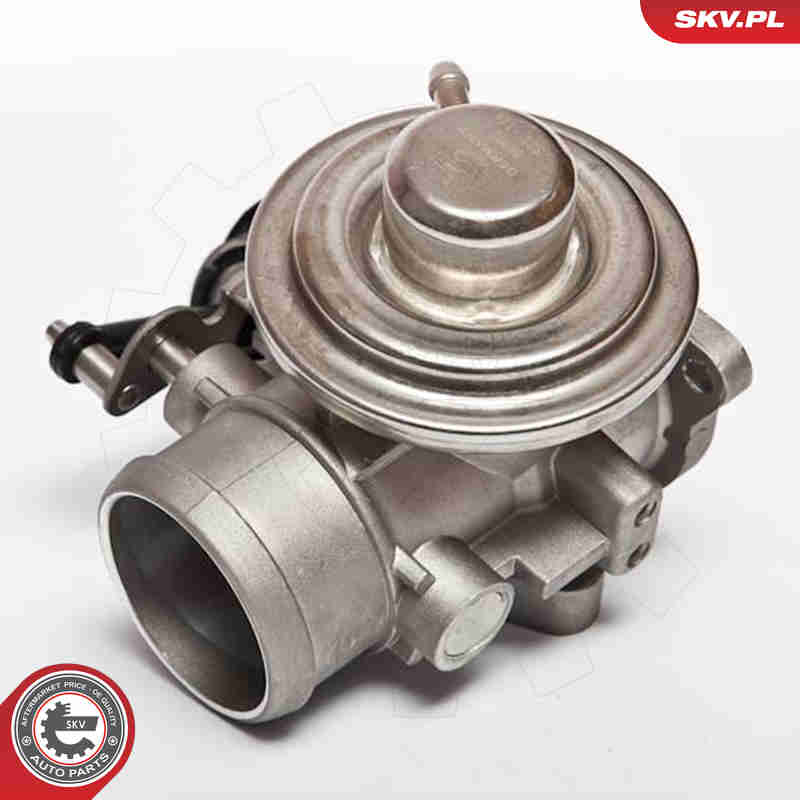 EGR Valve - 14SKV020 ESEN SKV