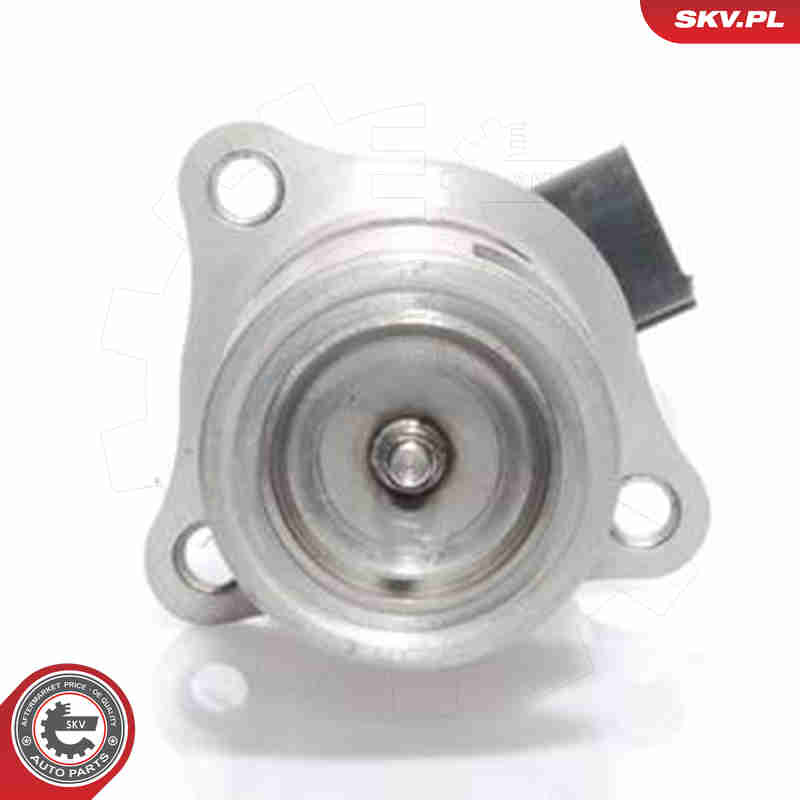 Valvola ricircolo gas scarico-EGR - 14SKV021 ESEN SKV