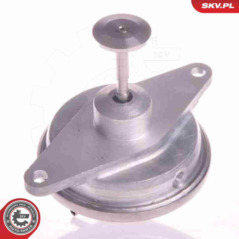 EGR Valve - 14SKV022 ESEN SKV