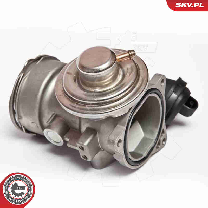 EGR Valve - 14SKV024 ESEN SKV