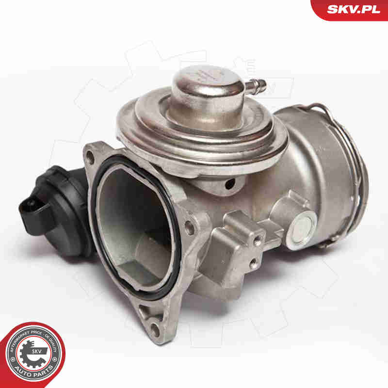 Valvola ricircolo gas scarico-EGR - 14SKV025 ESEN SKV