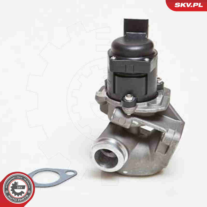 EGR Valve - 14SKV028 ESEN SKV