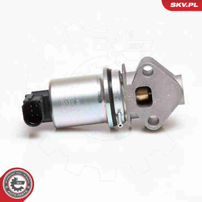 EGR Valve - 14SKV029 ESEN SKV