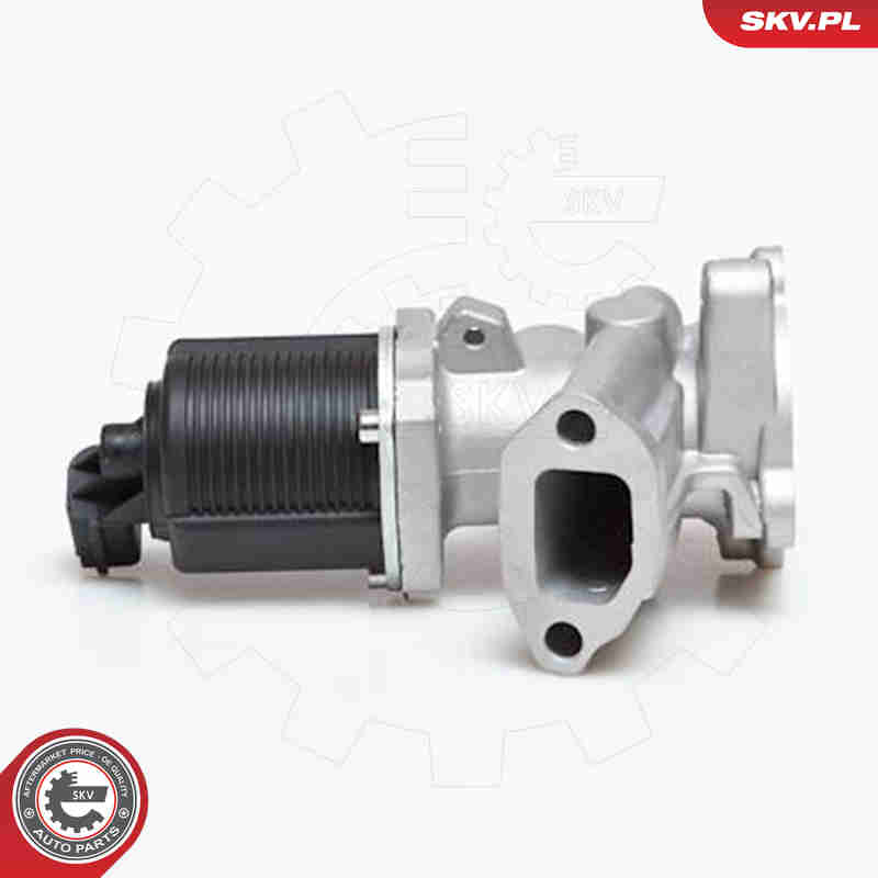 AGR-Ventil - 14SKV031 ESEN SKV