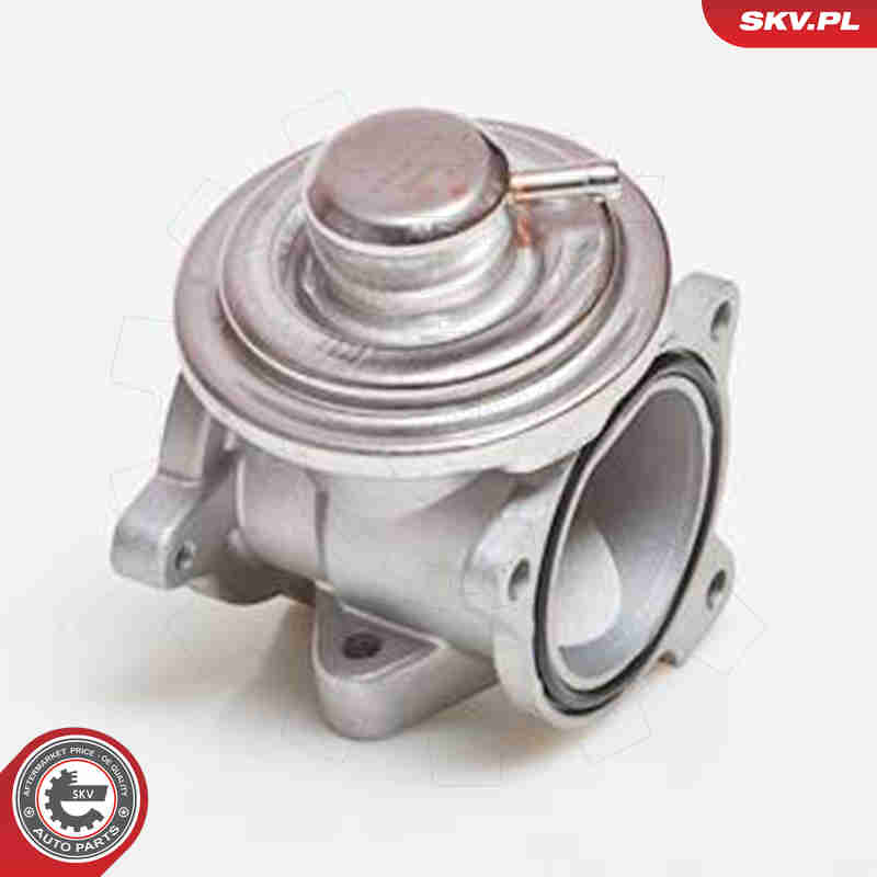 Valvola ricircolo gas scarico-EGR - 14SKV034 ESEN SKV