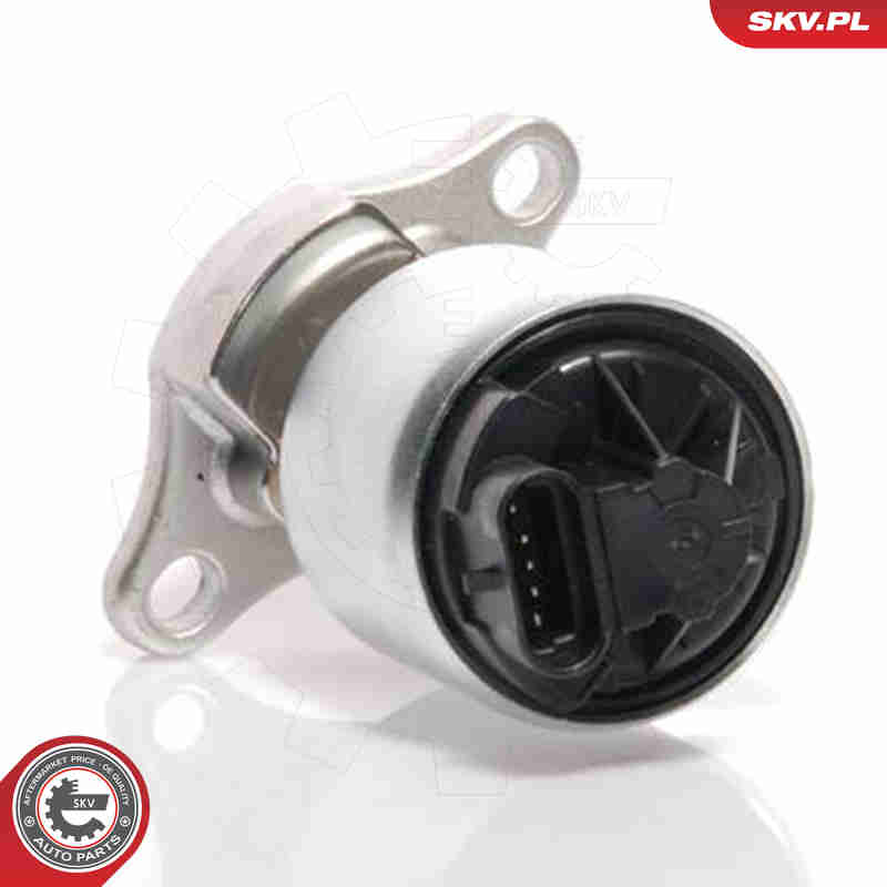 EGR Valve - 14SKV035 ESEN SKV