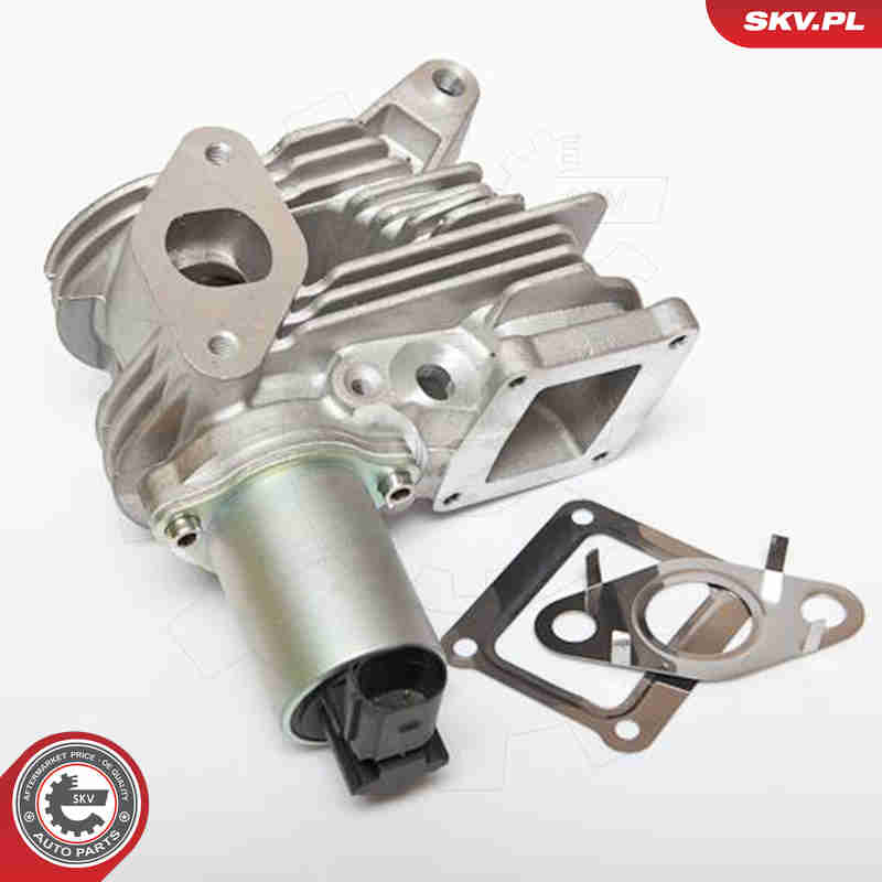 Valvola ricircolo gas scarico-EGR - 14SKV036 ESEN SKV
