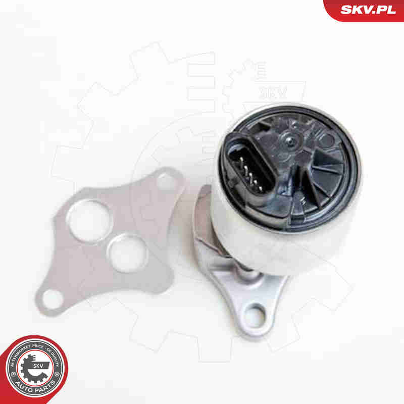 EGR Valve - 14SKV037 ESEN SKV