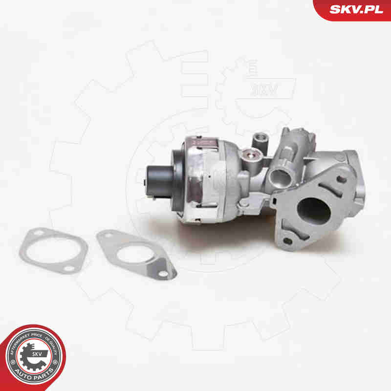 EGR Valve - 14SKV038 ESEN SKV