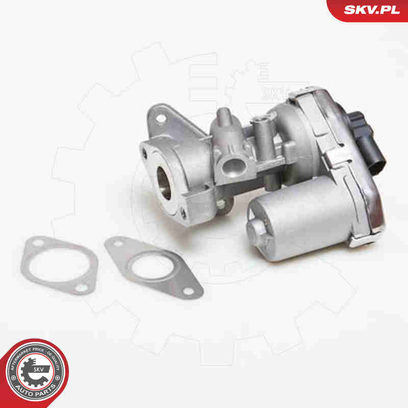 EGR Valve - 14SKV038 ESEN SKV