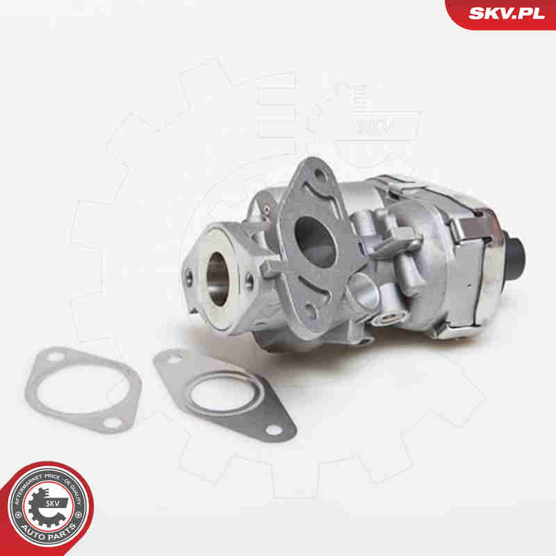 EGR Valve - 14SKV038 ESEN SKV