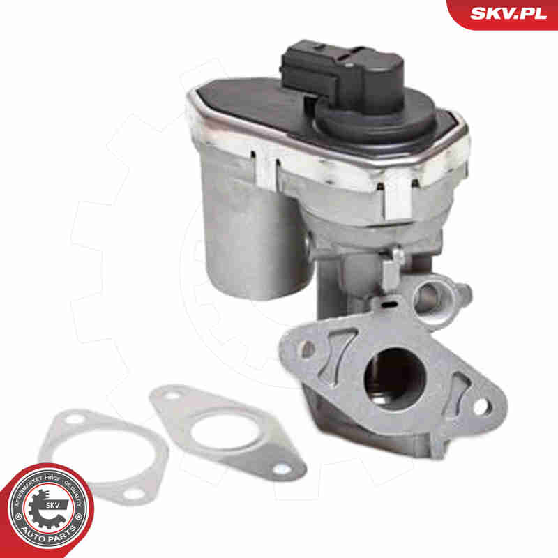 EGR Valve - 14SKV038 ESEN SKV